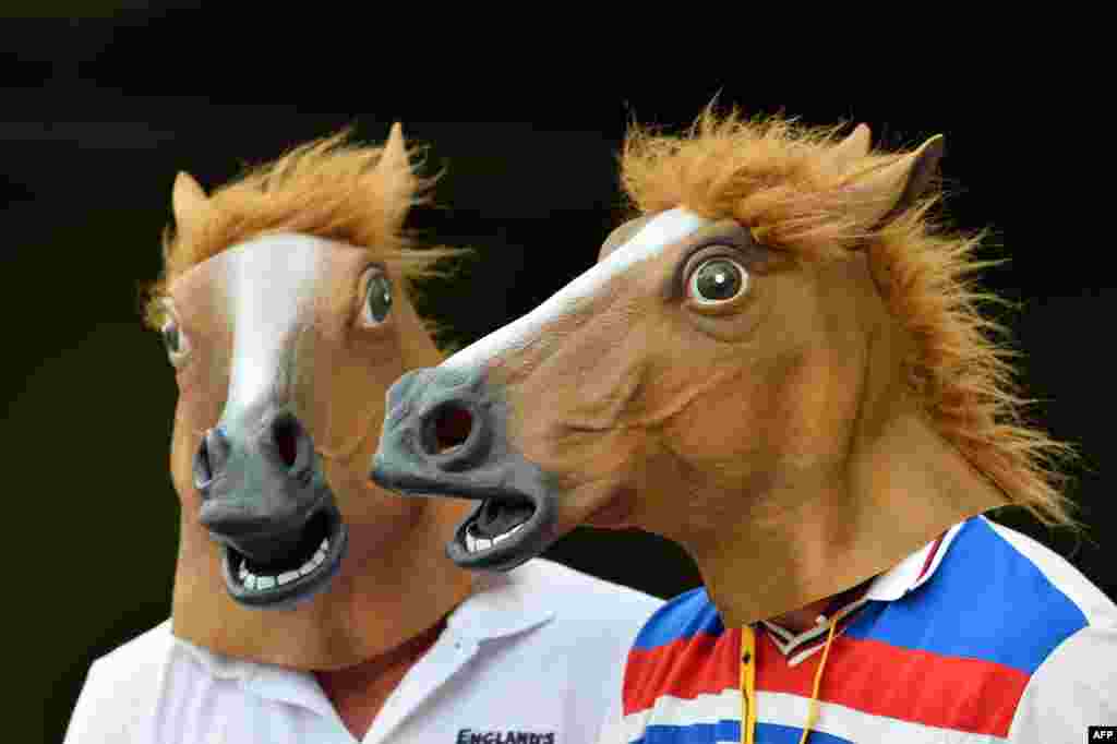 Spectators enjoy the match while wearing horse masks during day two of the first Ashes cricket Test match between England and Australia at the Gabba Cricket Ground in Brisbane.