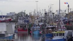 Մեծ Բրիտանիա – Եվրամիություն հակասությունները չեն մարում