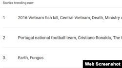 Vụ cá chết đang là chủ đề được tìm kiếm nhiều nhất trên Google ngày hôm nay, 30/6, khi chính phủ Việt Nam công bố kết quả điều tra.