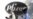 5 Things to Know About Pfizer's Coronavirus Vaccine