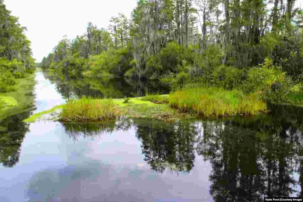 The Okefenokee is the largest, intact, un-fragmented, freshwater and black water wilderness swamp in North America.