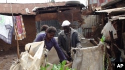 Urban farmers grow spinach, kale and other vegetables in simple soil-filled sacks in a slum of Nairobi, Kenya.