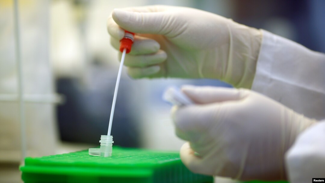 An employee shows testing for the coronavirus at a medical laboratory in Cologne, Germany, March 24, 2020, as the spread of the coronavirus disease (COVID-19) continues.