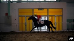 FILE - A Chinese jockey rides a horse at an equestrian and horse industry show in Beijing.