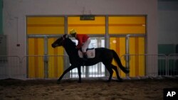 A Chinese jockey rides a horse at an equestrian and horse industry show in Beijing.