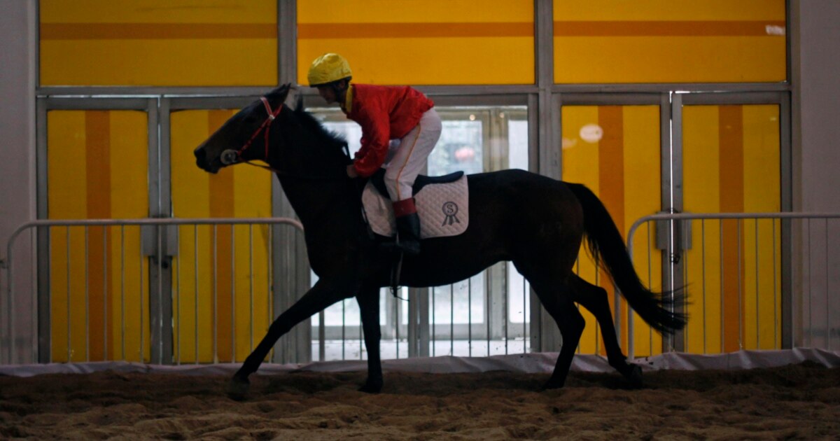 Interest in Horse Riding Grows in China