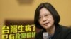 蔡英文：政党轮替能治台湾的病