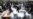 S. Korea: Door Still Open for Talks With North