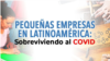 Programa Especial: Pequeñas empresas en Latinoamérica 