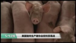 美国猪肉生产者协会担忧贸易战