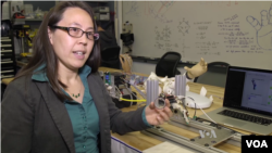 Veronica Santos, head of the Biomechatronics Lab at the University of California, Los Angeles