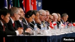 澳大利亚贸易部长安德鲁·罗布（右起第六）在悉尼举行的TPP贸易代表会议结束后的记者会上讲话。（2014年10月27日）