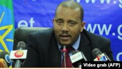 Getachew Reda, Ethiopia Government Spokesman