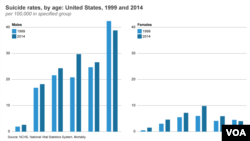 Les taux de suicides aux Etats-Unis en 1999 et en 2014.