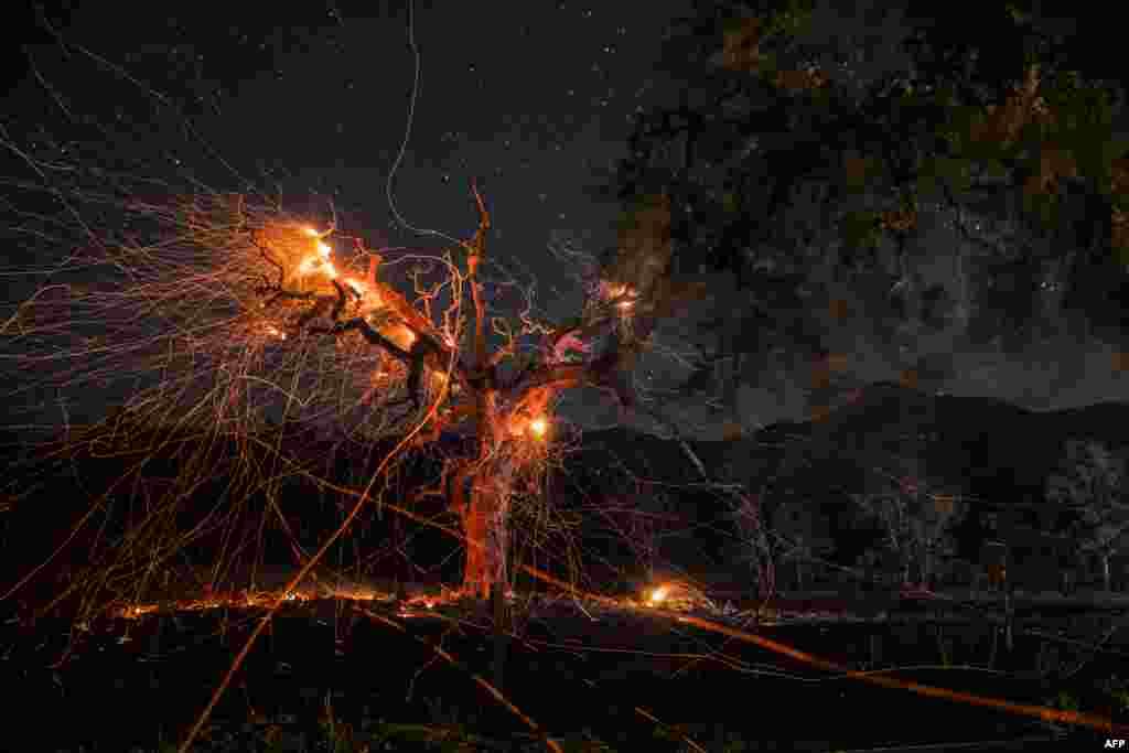 A long exposure photograph shows a tree burning during the Kincade fire off Highway 128, east of Healdsburg, California, Oct. 29, 2019.