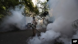FILE - A Mumbai Municipal Corp. worker fumigates a street in Mumbai, India, June 10, 2020. 