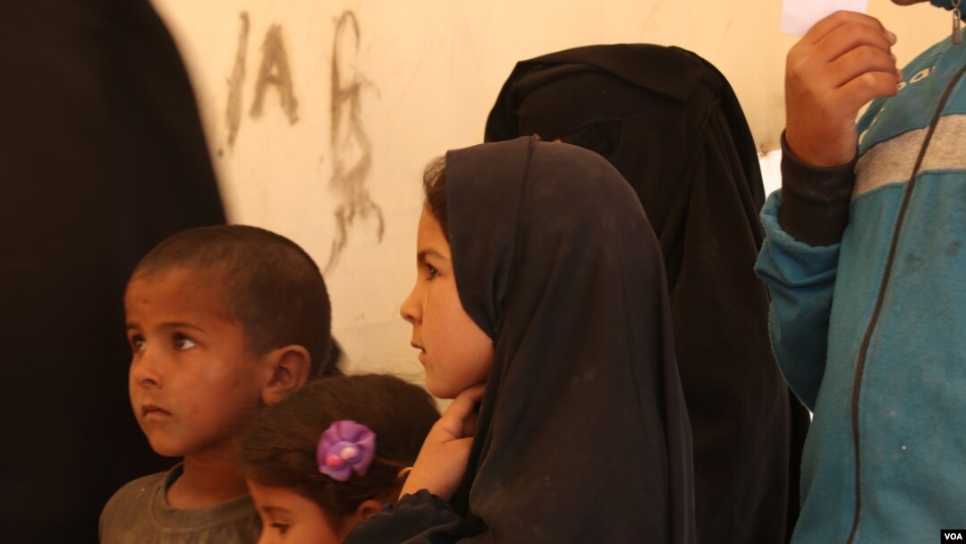 کەمپی هۆل