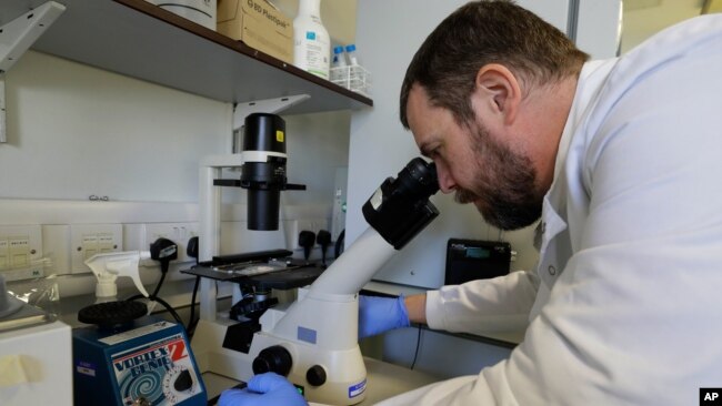 Nhân viên làm việc trong phòng thí nghiệm về COVID-19 tại Đại học Hoàng gia London.