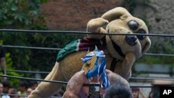 Wisin, el "perrito luchador" durante un evento de lucha libre en el Instituto de la Juventud, en la Ciudad de México, el 25 de julio de 2024. Wisin fue creado originalmente por el instituto para motivar a los niños a hacer ejercicio.