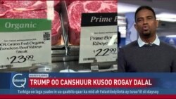 Cashuurta D. Trump ee Canada iyo Mexico oo dhaqan galaysa Talaadada soo socota. 
