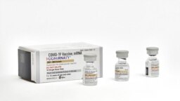 En esta foto difundida por Pfizer en septiembre de 2023 se muestran ampolletas de una sola dosis de su vacuna actualizada contra el COVID-19 para adultos. 