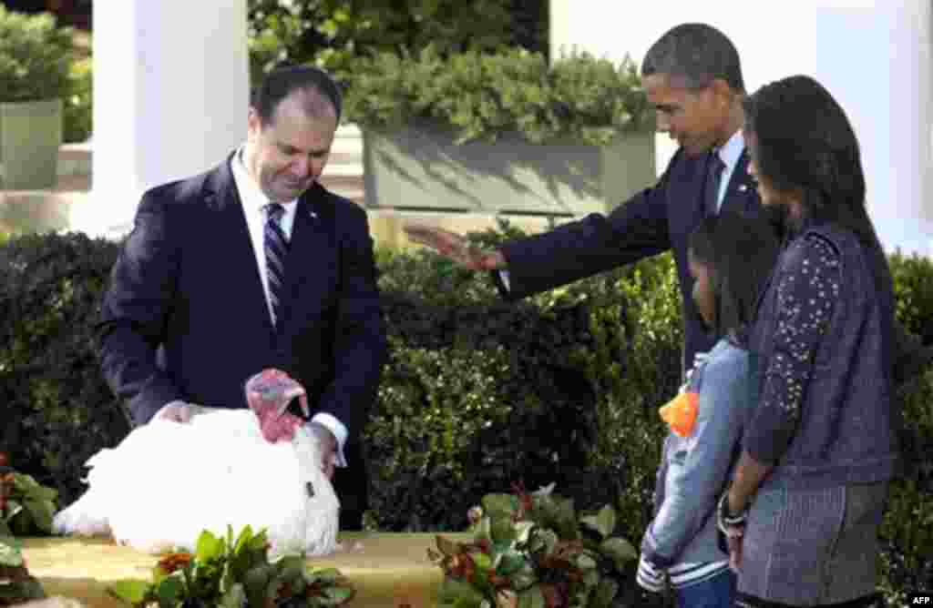 President Barack Obama pardons "Apple," the National Thanksgiving turkey during a ceremony in the Rose Garden of the White House in Washington, Wednesday, Nov. 24, 2010. National Turkey Federation Chairman Yubert Envia, left, and first daughters, Sasha, s