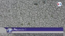 Proyecto “Techo verde” ¿Utopía ambientalista? 