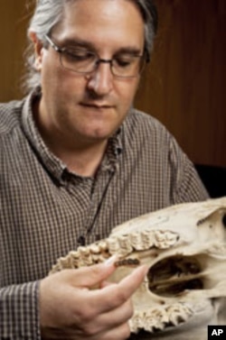 Jonathan Bloch of the Florida Museum of Natural History