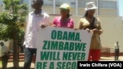 Pro Zanu PF Youths Demonstrate Against US Sanctions
