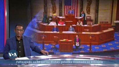 Jamhuuriga oo hantay maamulka Senate-ka 