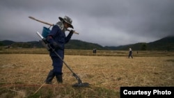 Technicians sweep a paddy field for UXO in Xiangkhouang Province, Laos, December 2014. (Sean Sutton/MAG)