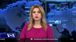 Ditari- Komuniteti shqiptaro-amerikan dhe problemet e shëndetit mendor 