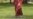 16x9 Image