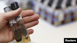 Las infecciones de tipo fúngica no son contagiosas ni se transmiten de persona a persona sin embargo pueden causar la muerte