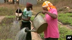 Watering crops in Africa