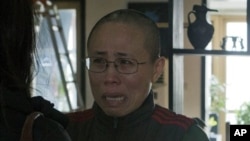 諾貝爾和平獎得主劉曉波妻子劉霞(2012年12月6日資料照片)