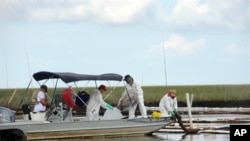 Workers continue cleanup of oil in Barataria Bay near Grand Isle, Louisiana, 19 Jun 2010