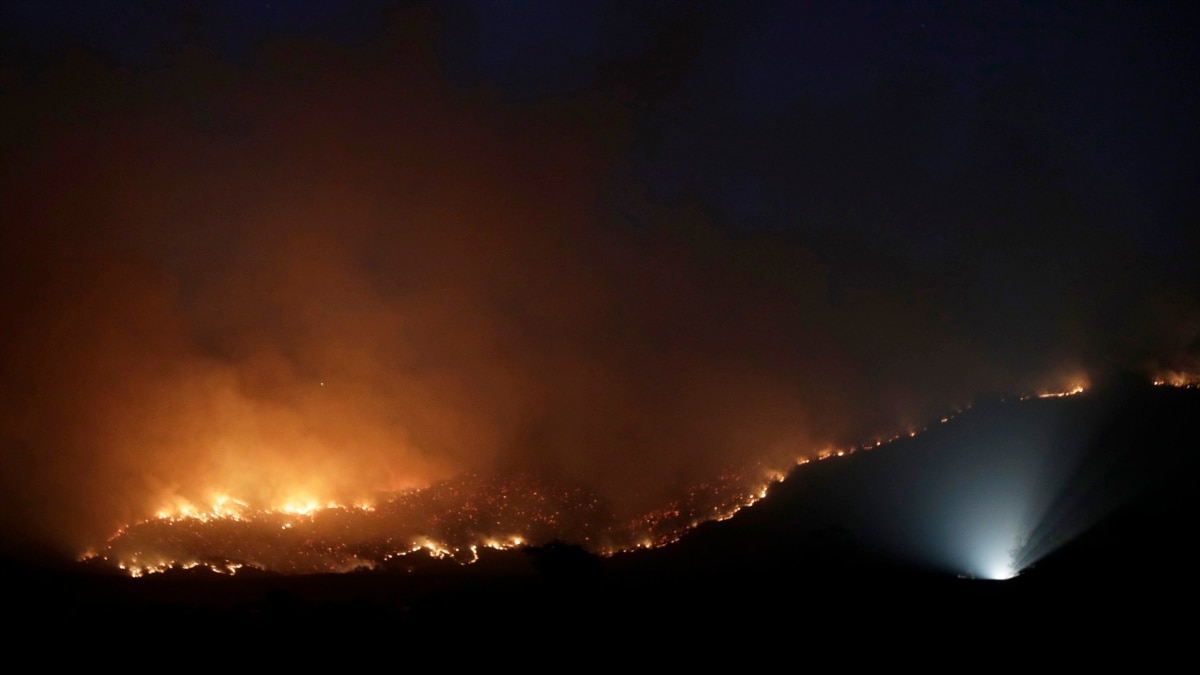 Australian State To Examine Role Of Climate Change In Bushfire Disaster