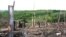 Penebangan hutan di Kampar Peninsula, provinsi Riau (foto: ilustrasi). Aktivis lingkungan mengatakan masih banyak illegal logging yang harus diatasi oleh pemerintah Indonesia.