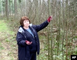 Carol Wick contemplates the possibilities for her woodlot near Enumclaw, Washington.