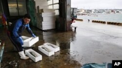 Seorang pekerja di pasar ikan mengangkat hasil tangkapan ikan yang diperolehnya hair ini di pelabuhan Oma di Aomori, utara Jepang (Foto: dok). Tokyo Electric Power Co. menyatakan telah mendeteksi adanya kadar 740 ribu becquerels per kilogram cesium radioaktif pada seekor ikan yang ditangkap di dekat PLTN Fukushima, 21 Februri lalu.