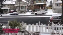 Yangi yil oldidan qor...