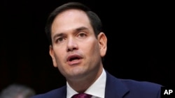 El senador Marco Rubio, republicano por Florida, hizo un llamado a crear un plan para ayudar a Venezuela.
