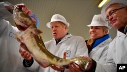 Britain's Prime Minister and Conservative Party leader Boris Johnson, center, visits Grimsby fish market in Grimsby, northeast England, Monday Dec. 9, 2019, ahead of the general election on Dec. 12. All 650 seats in the House of Commons are up for…