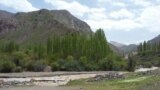 <div>طبیعت زیبای طالقان<br />
عکس: مسعود از تهران (ارسالی شما)</div>
