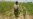 1.4 Million Zimbabweans Receiving WFP Food Aid