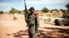 African Force for Mali Could Double in Size