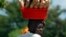 FILE - A Burundian woman carries cassava home from the market in Kinama, a suburb in Burundi's capital, Bujumbura.