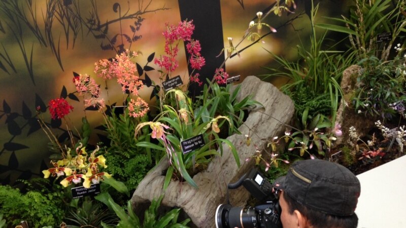 US Botanic Garden Celebrates 200 Years of Plants and Flowers