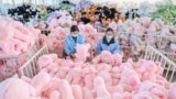 Employees work on a production line of stuffed teddy bears for export at a toy factory in Lianyungang, in eastern China's Jiangsu province, Nov. 22, 2024. 